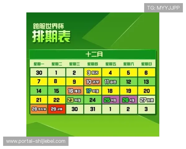 世界杯用球是几号球的标准尺寸和规格详解,了解不同比赛用球的编号区别