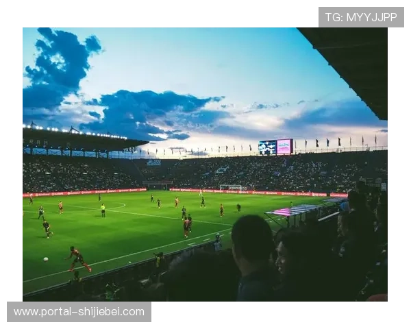 2026年世界杯举办地点详细介绍：美国、加拿大和墨西哥的比赛场馆全景分析